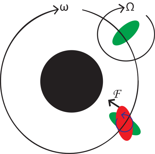 A cartoon video of the Moon orbiting the Earth when tidally locked and when not tidally locked.
